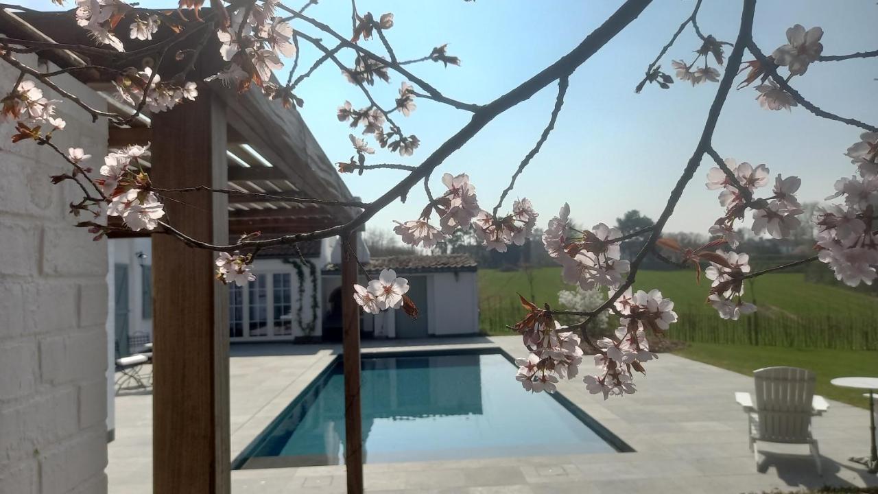 Chambres D'Hotes - Au Clos D'Amande Lasne ภายนอก รูปภาพ