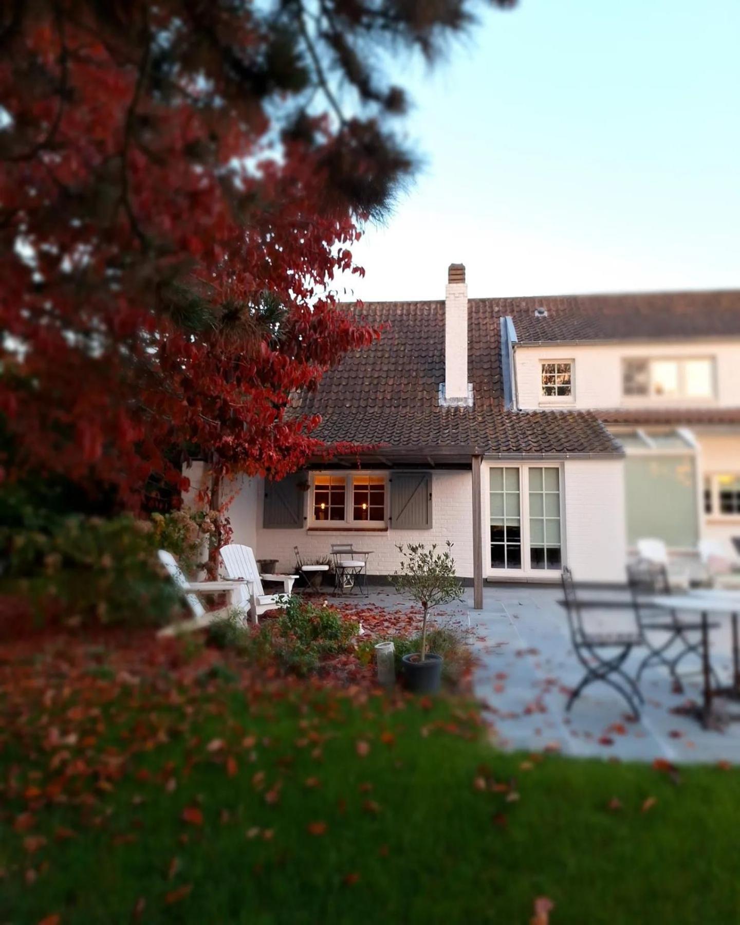 Chambres D'Hotes - Au Clos D'Amande Lasne ภายนอก รูปภาพ